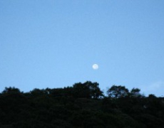 每日聖女大德蘭金句