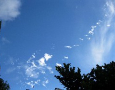 每日聖女大德蘭金句