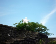 每日聖女大德蘭金句