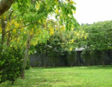 每日聖女大德蘭金句